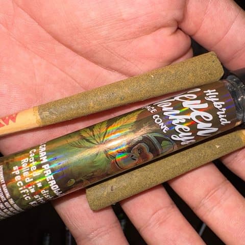 1G Hand Roll Blunt