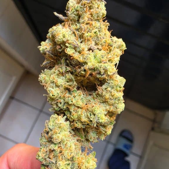 Pineapple