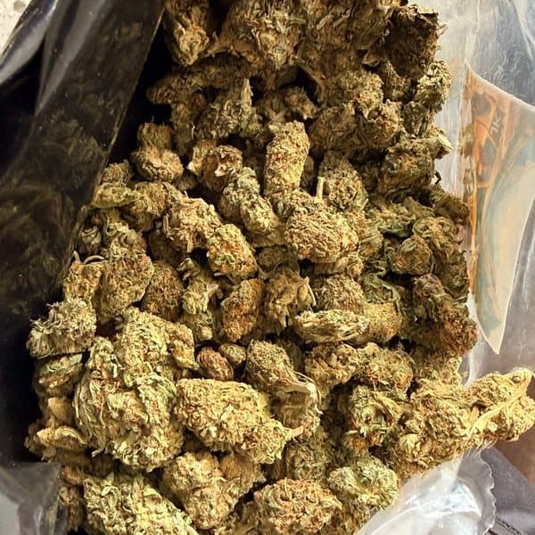 Purple Punch