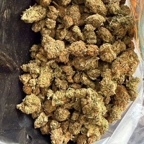 Sour Jack