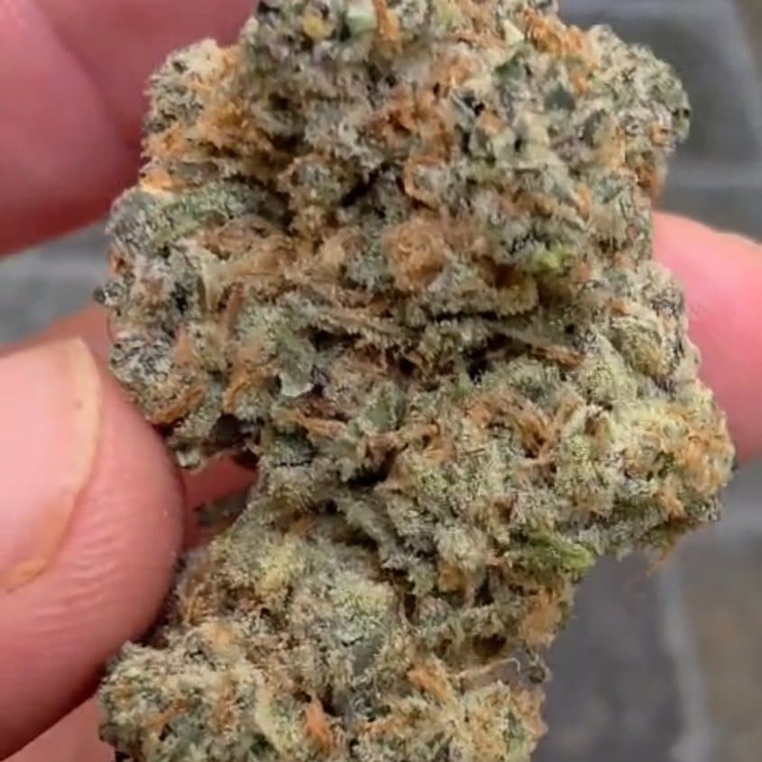 White Cherry